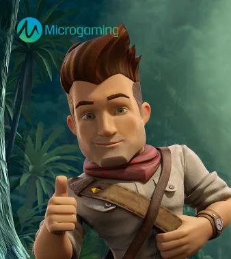Microgaming Slot